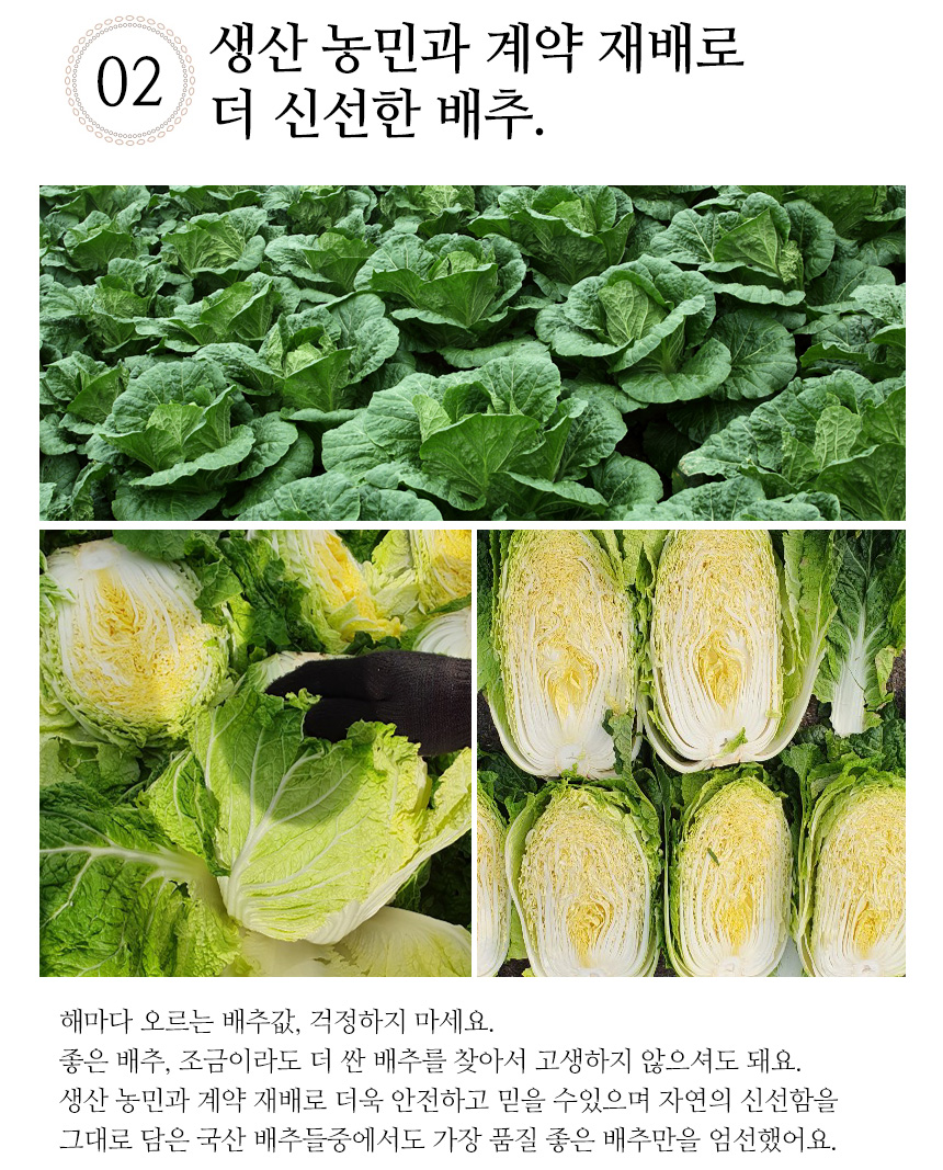 kimchi_860_08.jpg